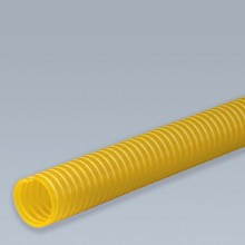 ����� (�����) SATURNO YELLOW
